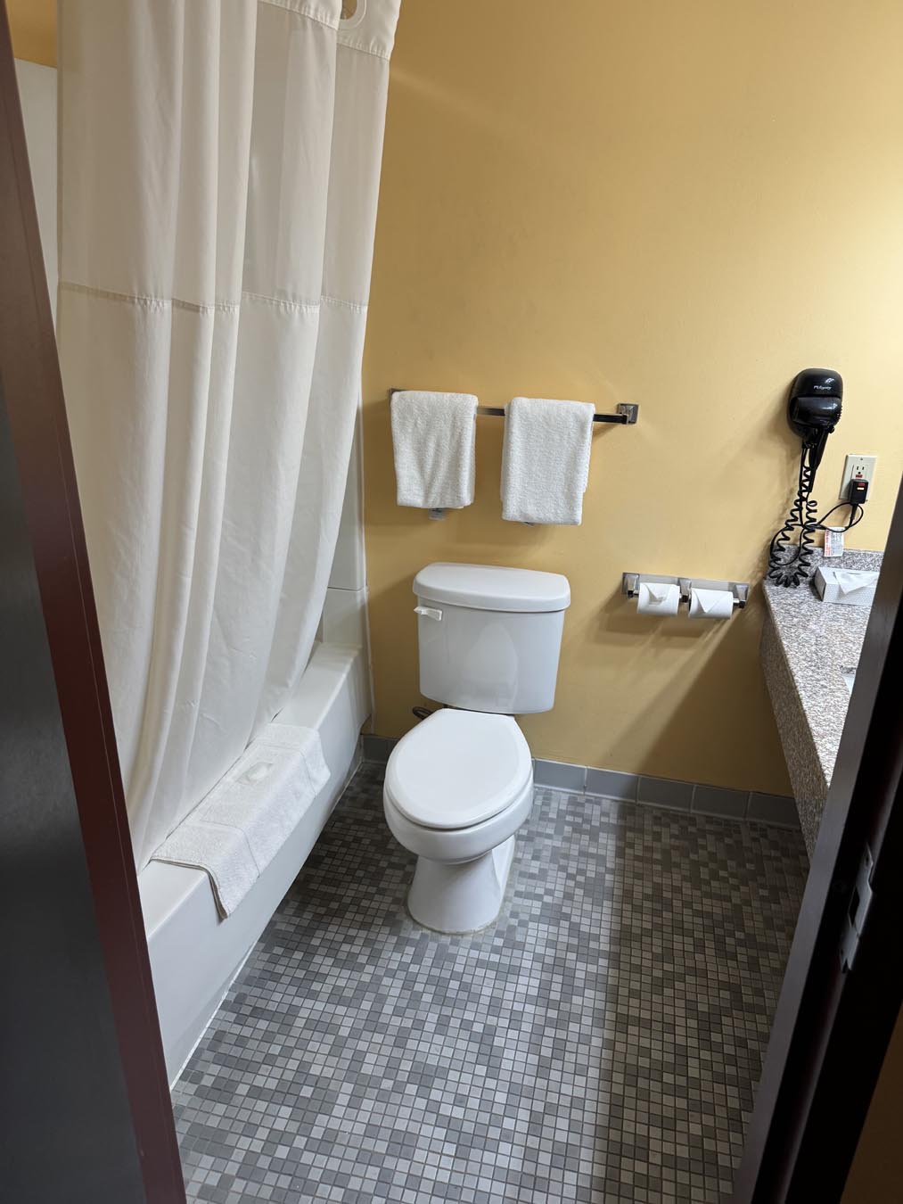 toilet and shower